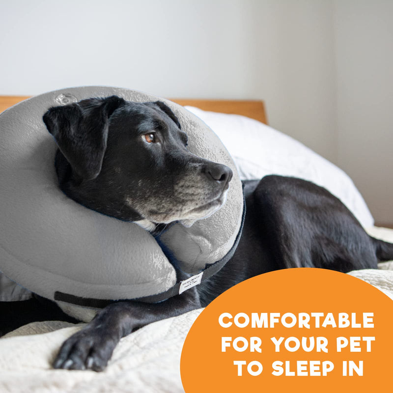Bencmate Inflatable Neck Brace for Dogs & Cats, Dog Collar Leak Protection Dog for Recovery After Operations or Wounds, Dog Neck Brace that Does Not Block the View [Neck: 12"-18"]Large Gray - BeesActive Australia