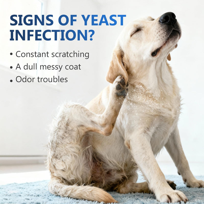 Yeast Infection Treatment for Dogs - Soothing Ear & Skin Relief for Itch & Inflammation, Natural Dog Allergy Support