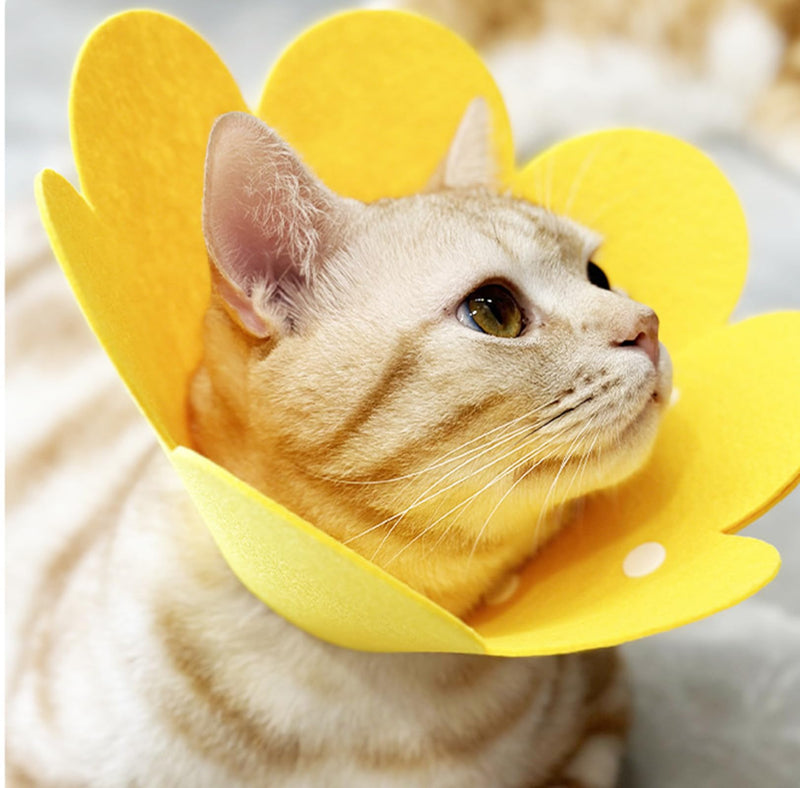Amexo 3 pieces cat protective collar, soft neck collar, cat collar, anti-bite neck collar, cat protective collar for cats, puppies, M - BeesActive Australia