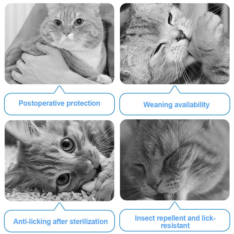 WeddHuis Cat Bodysuit After Surgery Cat Bodysuit for Surgery Castration Soft Cotton Cat Clothing Anti Licking Alternative to Neck Collar for Cats - BeesActive Australia