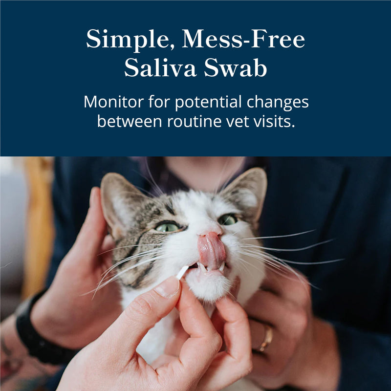 Petivity At-Home Kidney Health Test Kit for Cats — Quick Saliva Urea Test (2-Minute Home Check), Powered by Purina — Help Detect Early Kidney Changes - (Pack of 1) 1 Ounce (Pack of 1)