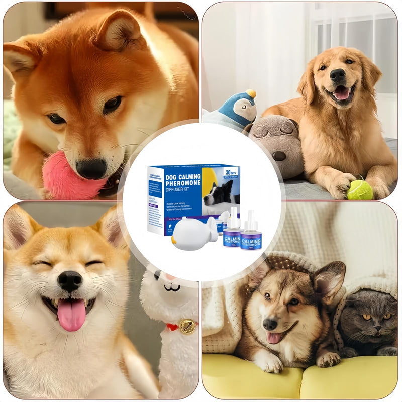 Dog Calming Plug in,Pet Diffuser,Dog Pheromone Diffusers Kit with A Diffuser & 4 Refills for Anxiety Relief,Calming Treats Alternative,Stop Stress and Scratching(Dog 1Pcs No Scent) m c