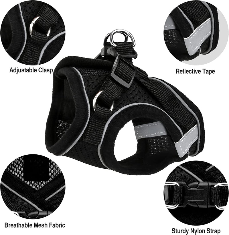 Adjustable Cat Harness Escape-Proof, Adjustable Cat Harness with Leash, Soft Lining and Breathable Mesh, Reflective Harness Set for Outdoor Training Walking, M (Black) - BeesActive Australia