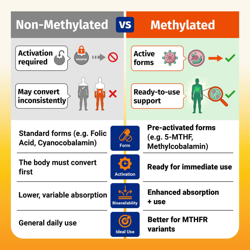 1 Body Methylated Vitamin B Complex, 5-MTHF & Methyl B12, 60 Capsules | 5-MTHF, Methyl B12 60 Count (Pack of 1)