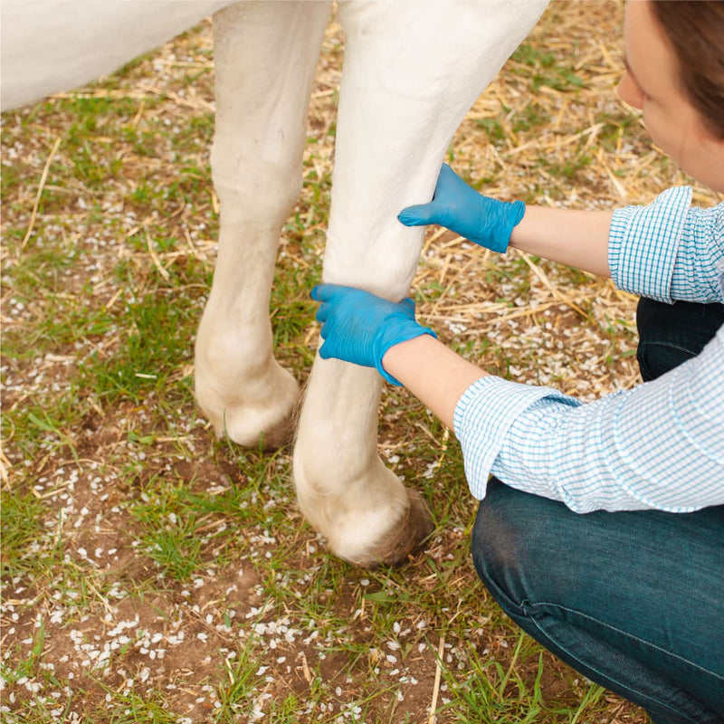 Veterinary Liniment Gel for Horses | Sore Muscle Rub | Soothing Warmth, Made with Plant-Based Ingredients | New & Improved Formula - BeesActive Australia