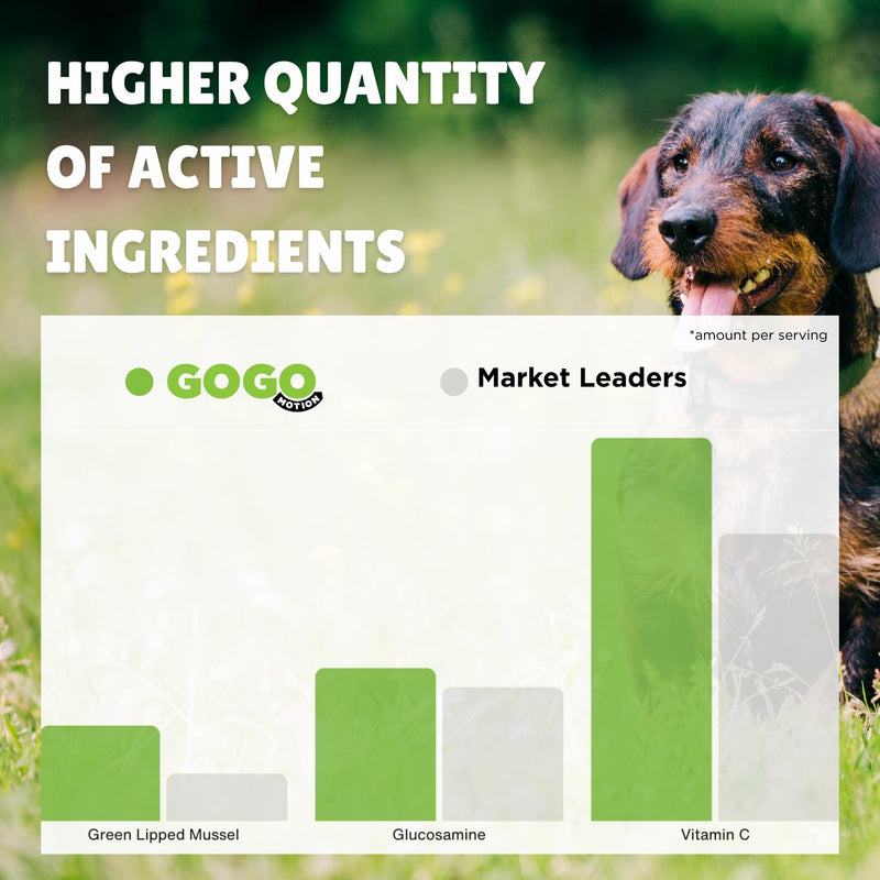 Joint Care Powder for Dogs Beef Flavour with Green Lipped Mussel and Glucosamine (300g) 300g