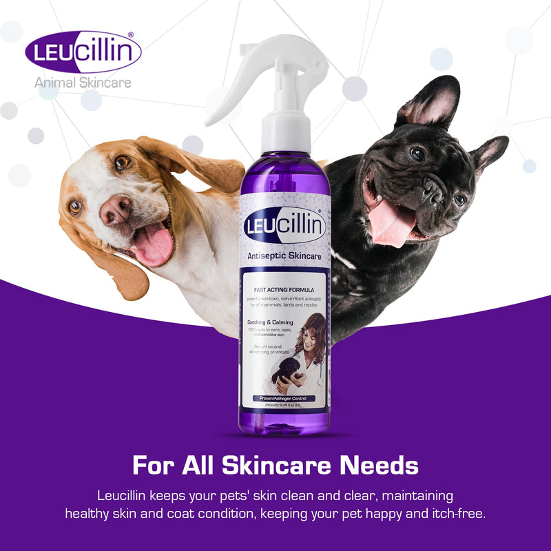 Leucillin Natural Antiseptic Spray - Antibacterial Antifungal Antiviral for Dogs Cats All Animals Itchy Skin Minor Wound Care and Skin Health | 250ml 250 ml (Pack of 1)