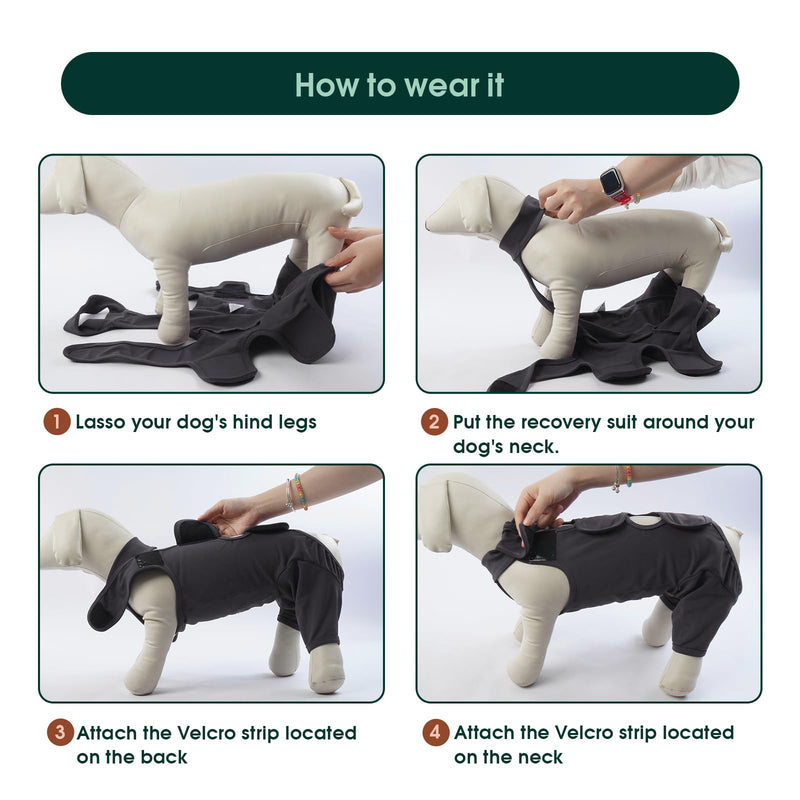 Kuoser dog bodysuit after surgery, dog bodysuit after surgery body for dog castration male dog, dog recovery suit, dog leg protection bodysuit, anti-wound licking surgery body dog, dog neck brace alternative, gray 2XL XXL (chest: 75-93cm) gray - BeesActive Australia