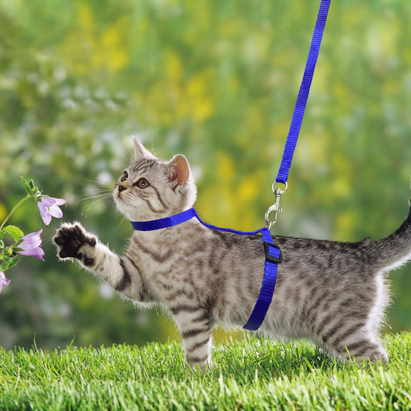 Pack of 2 Adjustable Nylon Harnesses Cat Leash, Harnesses Cat Leash Kitten Collar, Blue Soft Cat Harness with Leash for Kitten Puppy Rabbit Rabbit Black + Blue - BeesActive Australia