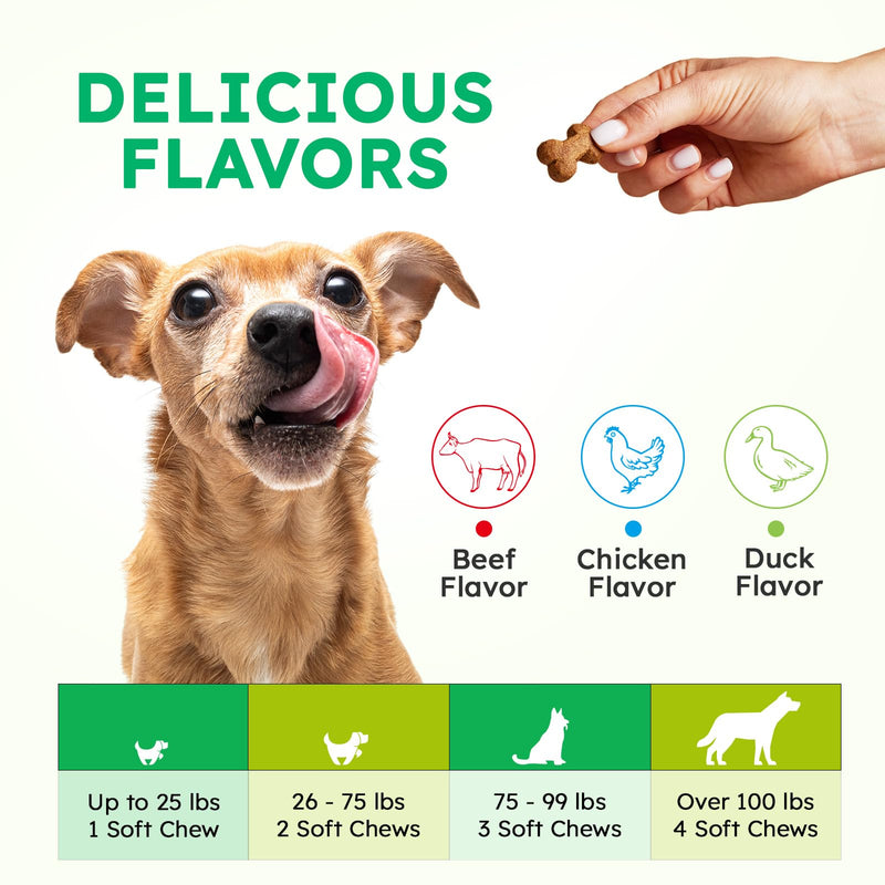 Dog Urine Neutralizer for Lawn - 150 Chews - Advanced Green Grass Dog Chews - Canine Pee Grass Saver - Green Lawn Treats with Natural Ingredients & Digestive Enzymes - Chicken