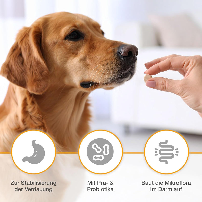 alfavet Dia Tab PRO for Dogs & Cats (100 g/ca. 50 chewable tablets) – Digestive Support Supplement – Prebiotic & Probiotic Formula with FOS, Enterococcus faecium & Bentonit