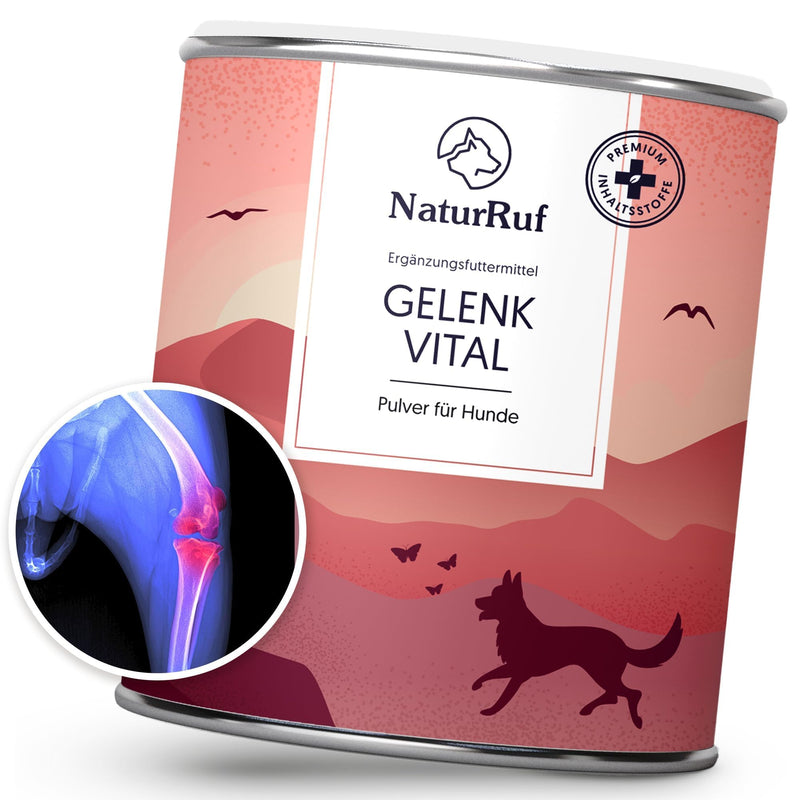 NaturRuf high-dose joint powder for dogs with green-lipped mussel, MSM, glucosamine - support of joint metabolism in osteoarthritis - alternative to joint tablets - high acceptance - BeesActive Australia