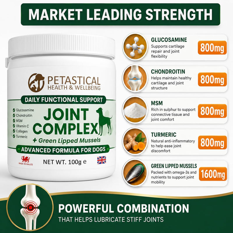 Joint Supplements for Dogs, 800mg Glucosamine, 800mg Chondroitin, 800mg MSM with Added Turmeric and Green Lipped Mussels (100g) 100 Scoop