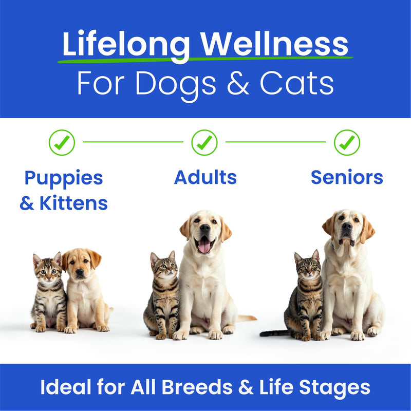 BARK&SPARK Omega 3 Fish Oil for Dogs - w/Wild Alaskan Salmon Oil for Dogs, Fish Oil Liquid Supplement for Pets, EPA+DHA Fatty Acids, Skin&Coat Support - Itch&Allergy Relief, Joint, Immune&Heart Health 16 fl oz - BeesActive Australia