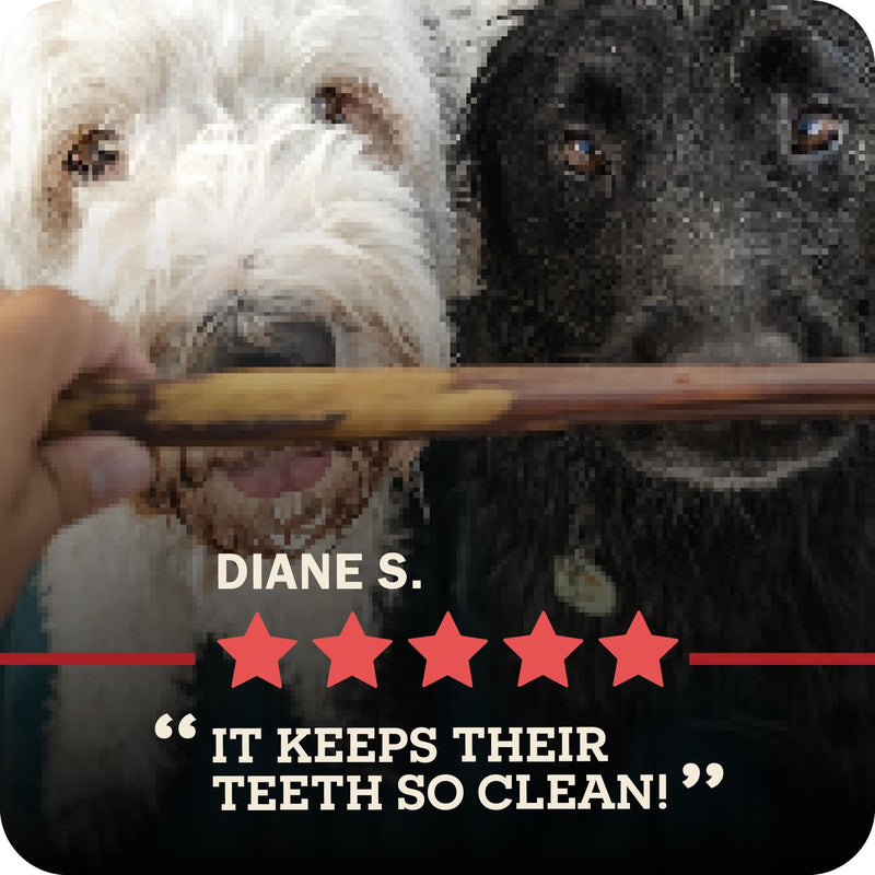 Redbarn Pet Products All Natural 5"-8" Braided Bully Sticks for Small & Large Dogs - Healthy Long Lasting Beef Chews Variety Party Pack - Single Ingredient Low Odor Rawhide Free - 8 oz Bag (Pack of 2) 8 Ounce (Pack of 2)