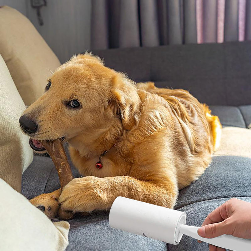 AQSQWQ 6 rolls 360 sheets lint roller + 1 dispenser, extra sticky lint roller, lint roller clothing, lint roller animal hair, lint roller for clothing, hair, sofa, bed, cat hair, dog hair - BeesActive Australia
