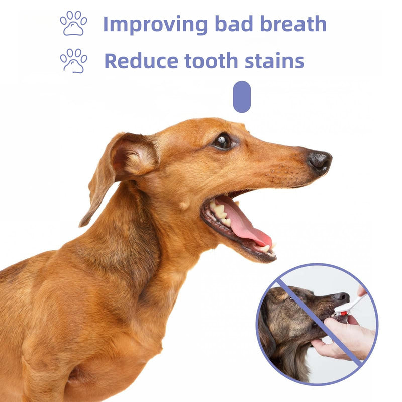 2*30ml Dog Oral Care Spray Pet Teeth Cleaning Spray,Teeth Cleaning Spray for Pets,Pet Bad Breath Removal,Pet Teeth Cleaner,Pet Breath Freshener Spray Care Cleaner,Fresh Breath & Teeth Cleaning Spray 2