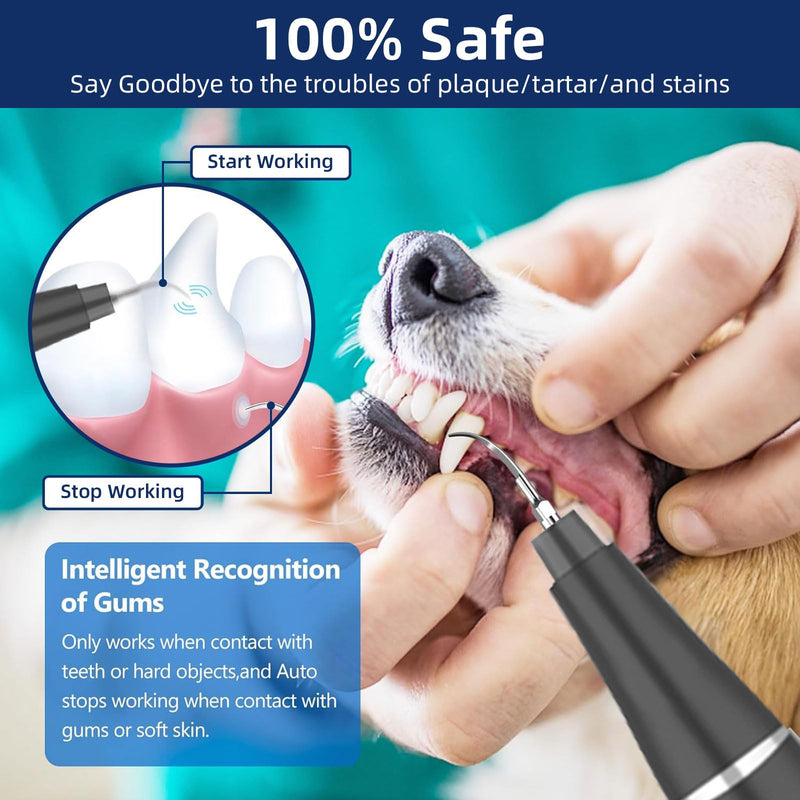 Plaque Remover for Teeth, Pet Ultrasonic Cleaner, Dog Plaque and Tartar Remover with LED Light, Dog Teeth Cleaning Dental Care Kit for Tartar and Stains, Suitable for Dogs and Cats (Black) Black - BeesActive Australia