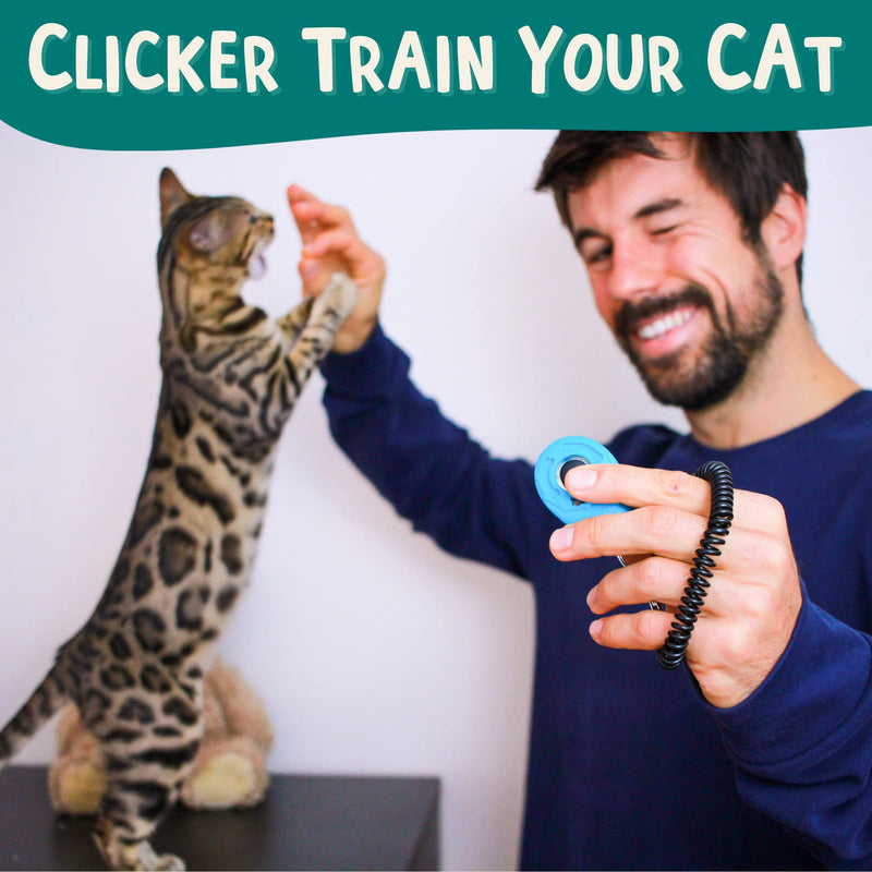 The Click Crusade (Cat Training Card Game Guide to Clicker Training for Cats for Teaching Tricks, Improving Communication and Bonding with your Kitten (Clicker not included) Main Deck - BeesActive Australia