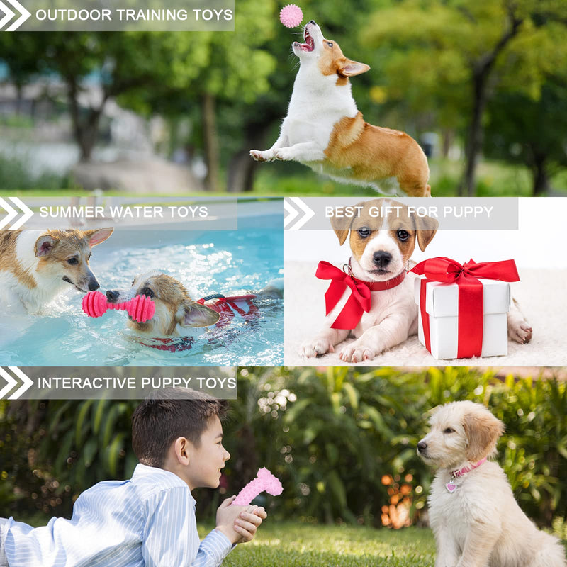 Puppy Toys, 6 Pack Dog Chew Toys for Puppy, Cute Pink Small Dog Toys, Teething Toys for Puppies, Soft Durable Interactive Chew Toy for Small Dogs - BeesActive Australia