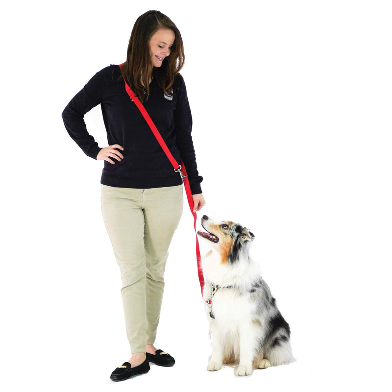 Blue-9 Multi-Function Hands Free Dog Leash, Double Attachment 6 Foot Adjustable Lead for Obedience, Running, and Agility Training (Black, Small Medium) Black - BeesActive Australia