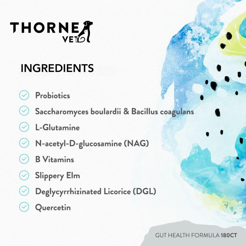 ThorneVET Gut Health Formula – Gastrointestinal Support for Dogs, Cats & Horses, 180 Scoops 3.81 oz (108g)