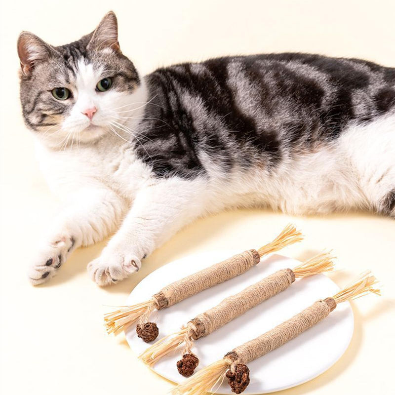 Silvervine Chew Sticks for Cats,QIANSSE4 Pack Cat Chew Toys Natural Dental Cleaning Chew Sticks for Indoor Cats Kitten Teething