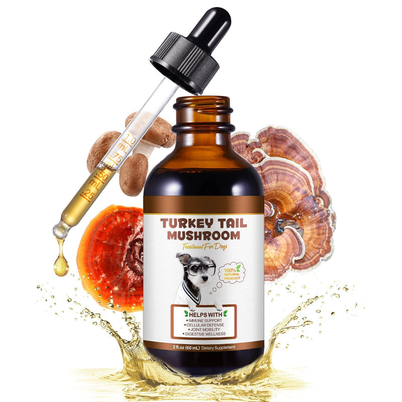 Turkey Tail Mushroom for Dogs 5X Mushroom Liquid Extract with Turmeric & Probiotics, Immune, Digestive & Joint Support, Bacon Flavored, 60ml, 100% Natural, Alcohol-Free
