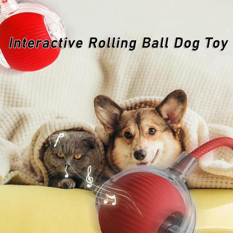 Interactive Rolling Dog Ball,Interactive Rolling Ball Dog Toy,Interactive Rolling Ball Dog Toy,Electric Dog Ball Toy,Electric Dog Ball,360° Smart Automatic Rolling Pet Ball(Red) - BeesActive Australia