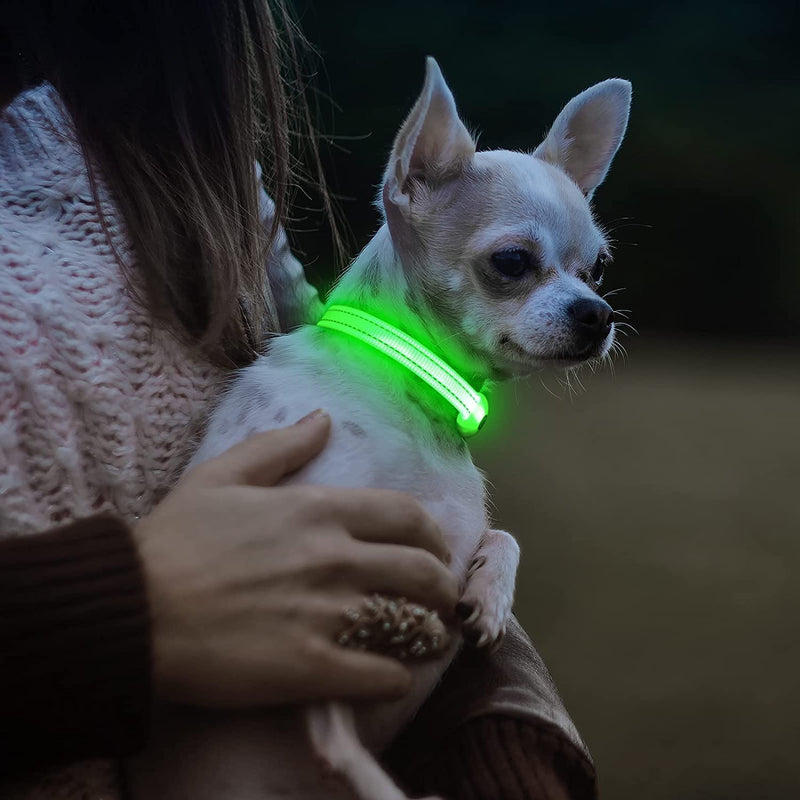 Visinite Luminous Dog Collar, Waterproof, Adjustable, USB Rechargeable LED Dog Collars, Glows in the Dark, Luminous Dog Collar Keeps Your Small Dog Visible and Safe, Green, S Green S - BeesActive Australia