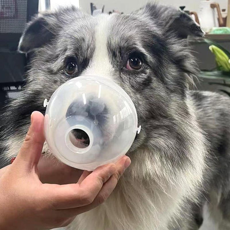 Canine Nebulizer Cup and Inhaler Mask for Cats and Dogs, Oxygen Mask for Pets (Not Including Nebulizer Machine) (S) S- Cat & Puppy - BeesActive Australia
