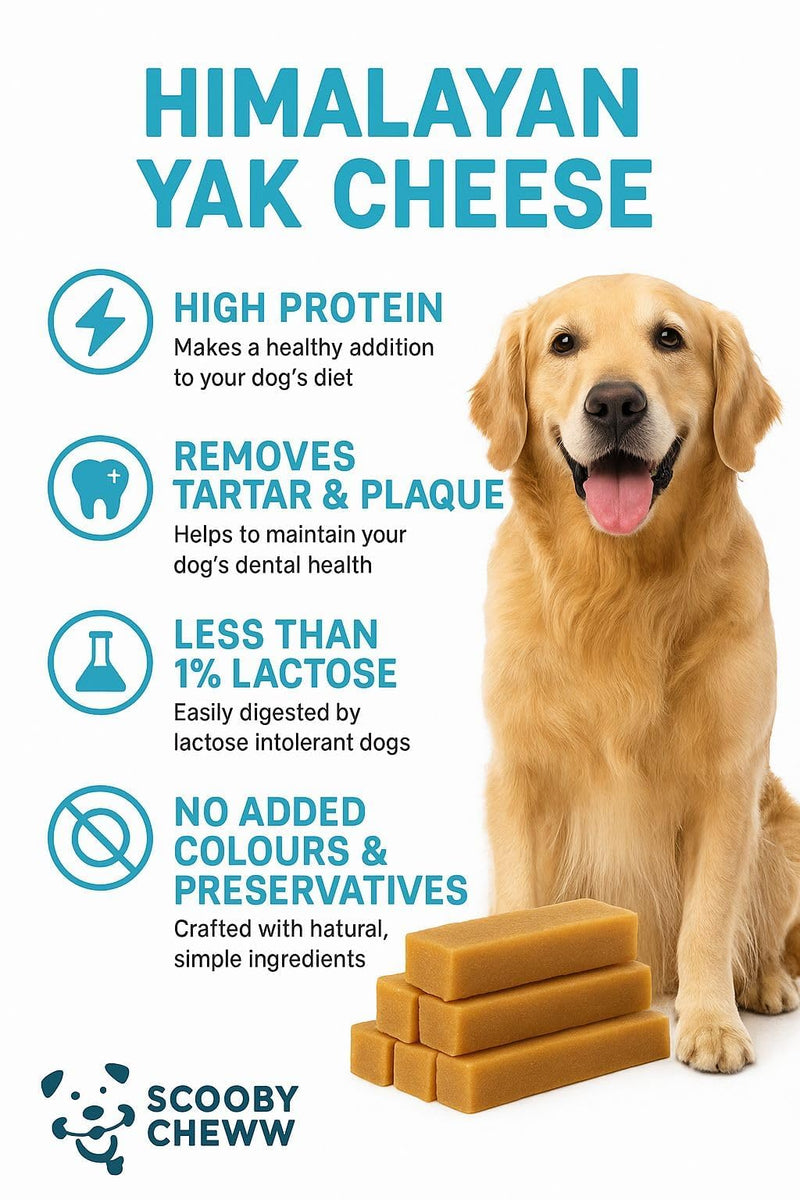 4 Count Large 100% Natural Yak Cheese for Dog Chews, Dog Treats All Breeds, High Protien, Yak Sticks | Grain & Lactose Free Dental Cleaning Long Lasting Chews for Dogs 4 Large Chews
