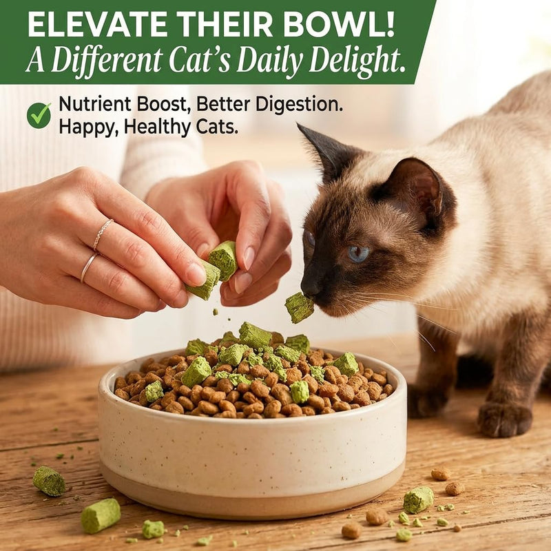 Happy Tracks Cat Grass Sticks for Cats — Freeze-Dried Chicken & Barley Grass | High Protein Grain-Free Cat Snack | Hairball Control & Dental Support | 3.53oz / 20 Sticks