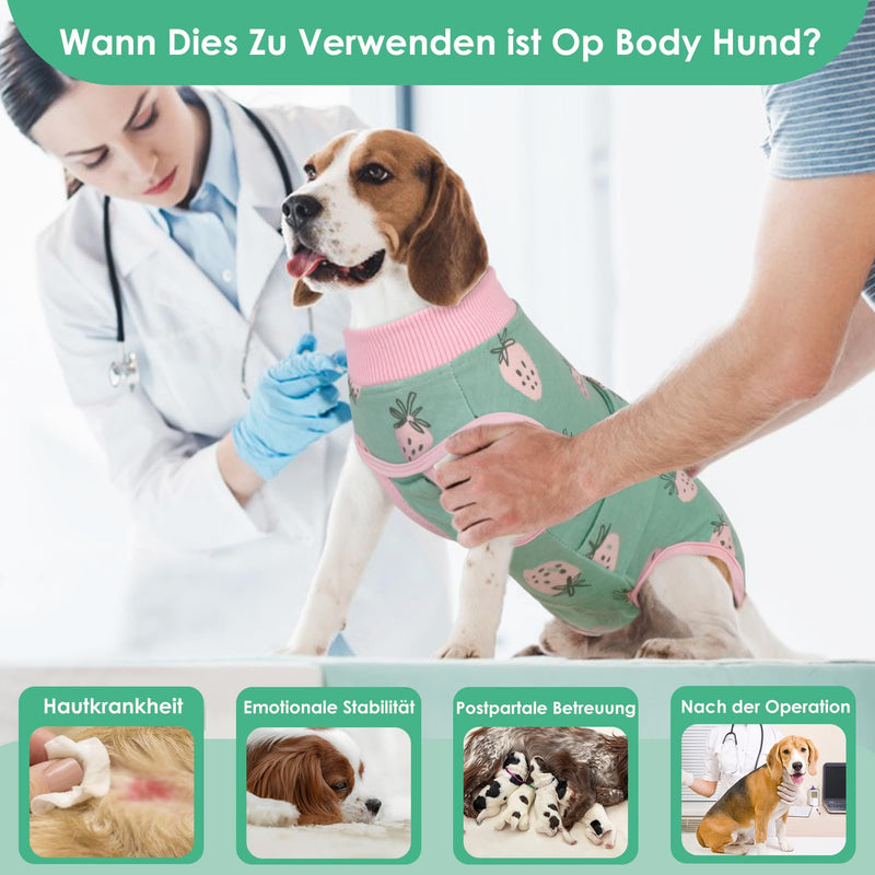 AOFITEE dog bodysuit after surgery, dog bodysuit after surgery bitch, comfortable surgery body dog, dog bodysuit after castration male dog, leak protection dog with pee hole pee opening for abdominal wounds, strawberry M green strawberry - BeesActive Australia