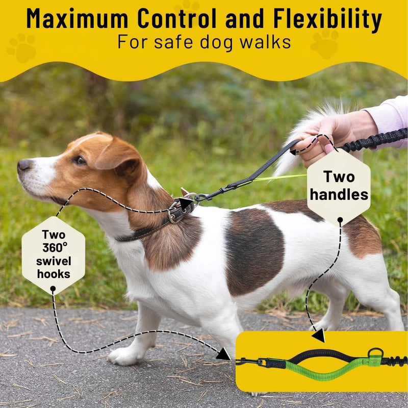 Hundefreund Hands-Free Dog Leash Replacement Bungee (43–63”) – Extension for Small Dogs – Shock-Absorbing with Dual Handles & Reflective Stitching (Green) - BeesActive Australia