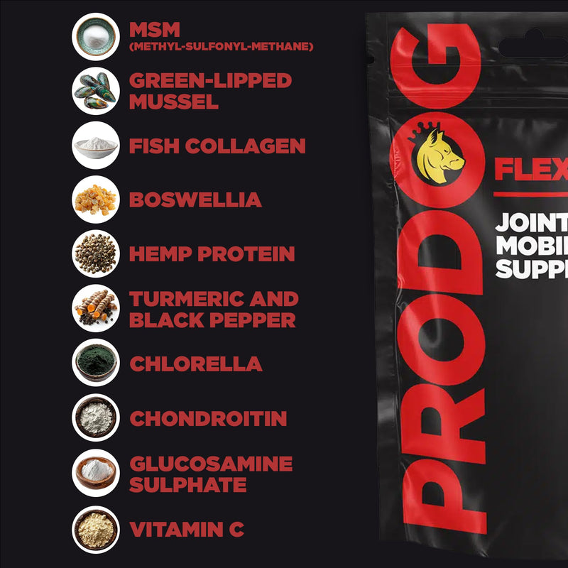 ProDog Flexx Joint & Mobility Powder for Dogs - 11 Active Ingredients | Glucosamine MSM Green Lipped Mussel | Senior, Adult & Working Breeds | 120g, 30 Servings Small - 120g