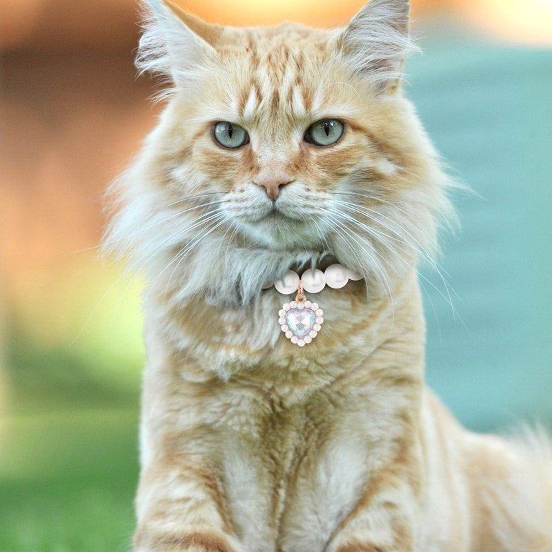 Cat Pearl Collar with Heart Pendant, Cute Pearl Pet Necklace in Medium, Adjustable Wedding Party Small Dog Jewelry Accessories for Puppy Kitten- White - BeesActive Australia