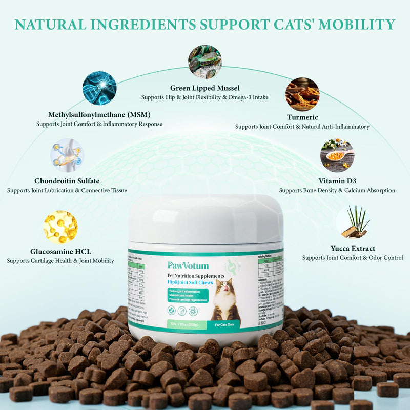 Glucosamine for Cats, Pet vitamins and supplements with Chondroitin, MSM & Green-Lipped Mussel, Support Cartilage Health, Hip & Joint, Mobility & Flexibility for kittens, adult and senior cat