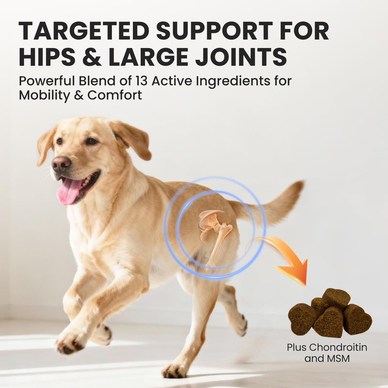 Dog Joint Supplement: with Glucosamine Chondroitin, MSM,Turmeric – Hip and Joint Support for Arthritis Pain Relief – Natural Anti-Inflammatory – for All Breeds & Senior Dogs, 180 Chews