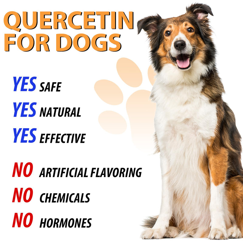 Quercetin for Dogs, Dog Quercetin Liquid Drops Supports Dogs Allergy Relief, Dog Herbal Supplement - Pet SuppliesQuercetin for Dog Itch Remedies - 60 ml / 2 fl.oz - PawsPlanet Australia