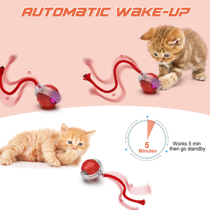 IOKHEIRA Interactive Cat Toys Ball, Motion Activate Electric Cat Toy, Automatic Pet Exercise Toys, Simulate Bird Calls, USB Rechargeable (Long Tail) - BeesActive Australia