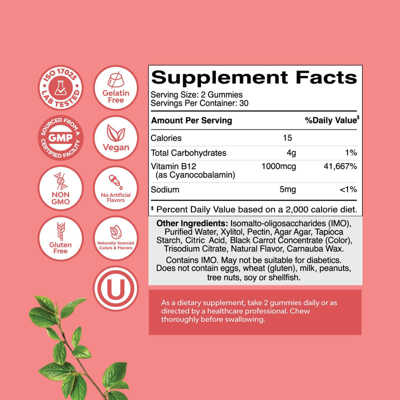 Natures Craft Sugar Free Vitamin B12 Gummies 1000mcg - 60 Count | Chewable B12 gummies for energy, mood, immune & nerve health support; kosher & gluten-free 60 Count (Pack of 1)