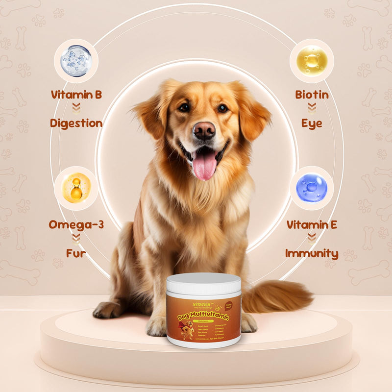 Multivitamin for Dogs - All-in-One Daily Supplement | Supports Joint, Heart, Skin, Digestion, Immune System & Liver Health (120 Chews Chicken)