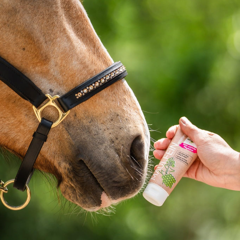 Bense & Eicke MaulFein 100 ml - Natural Care Balm for Horses with Honey, Beeswax and Witch Hazel Protects and Keeps Skin Elastic