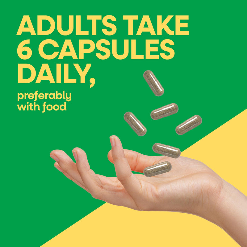 Nature's Way Alive! Max6 Potency Adult Complete Multivitamin, 90 ct | Iron, Antioxidant Vitamins A, C, E, B-Vitamins Including Methylated B12 & Folate, Energy Metabolism Support*, 90 Capsules 90 Count (Pack of 1)