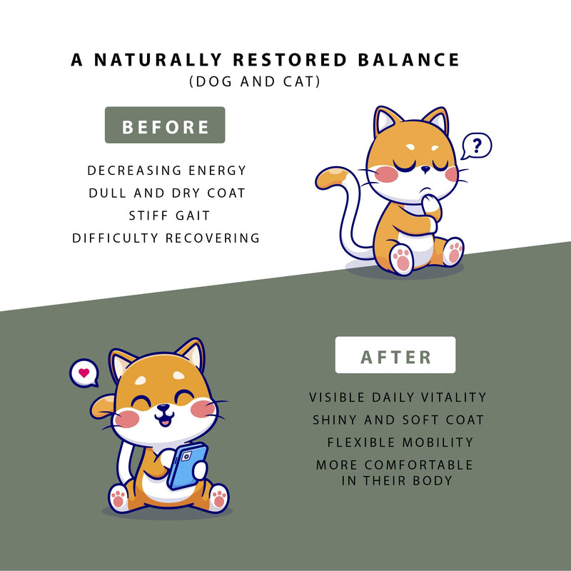 Hemp Seed Oil for Dogs and Cats | Omega 3 6 9 | Vitamins A/B/D/E for Pets | Anti-stress food supplement, acts on anxiety, joints and sleep. (Chicken) Chicken
