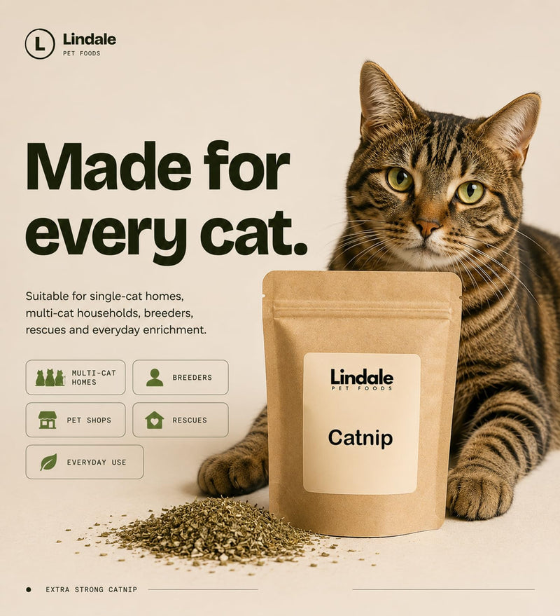 Extra Strong Catnip Herb 50g – Premium Natural Catnip for Cats – Long Lasting & Potent – by Lindale Pet Foods