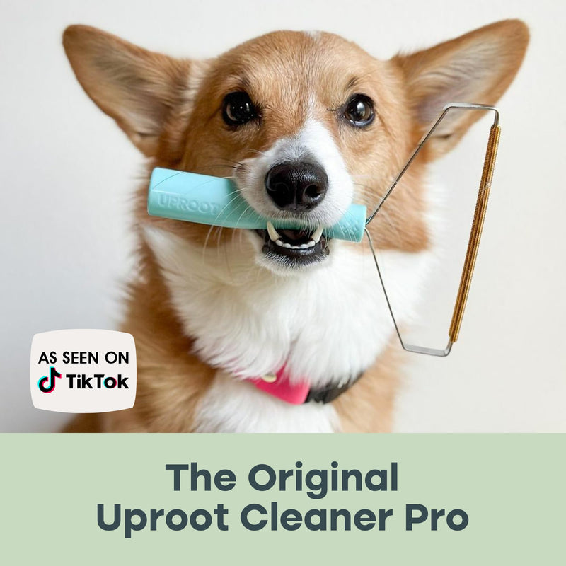 Uproot Cleaner Pro Pet Hair Remover 2 Pack - Reusable Cat Hair Remover - Dog Hair Remover Multi-Fabric Edge and Carpet Scraper by Uproot Clean - for Furniture, Pet Towers, + More - Gets Every Hair Pro 2 Pack - BeesActive Australia