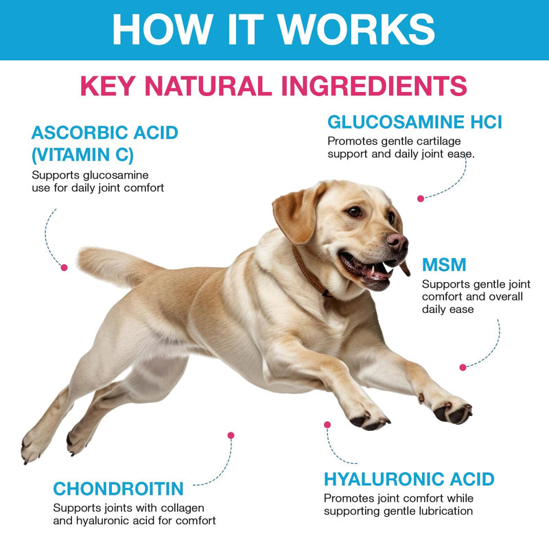 Joint Supplements for Dogs, Pain Relief for Dogs, Dog Joint Supplements for Senior Dogs, Chondroitin Drops for Dogs, Hip & Joint Glucosamine Drops for Dogs, Mobility Pain Relief, Natural Formula, 60ML