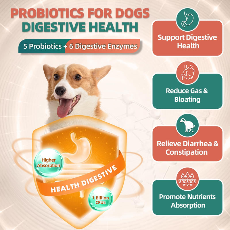 Dog Multivitamin with Glucosamine, Omega 3, Minerals, Probiotics and Enzymes, Dog Vitamins and Supplements for Joint, Skin & Coat Care, Digestive and Immune Health, Chicken Flavor - 120 Chews 120 count - PawsPlanet Australia